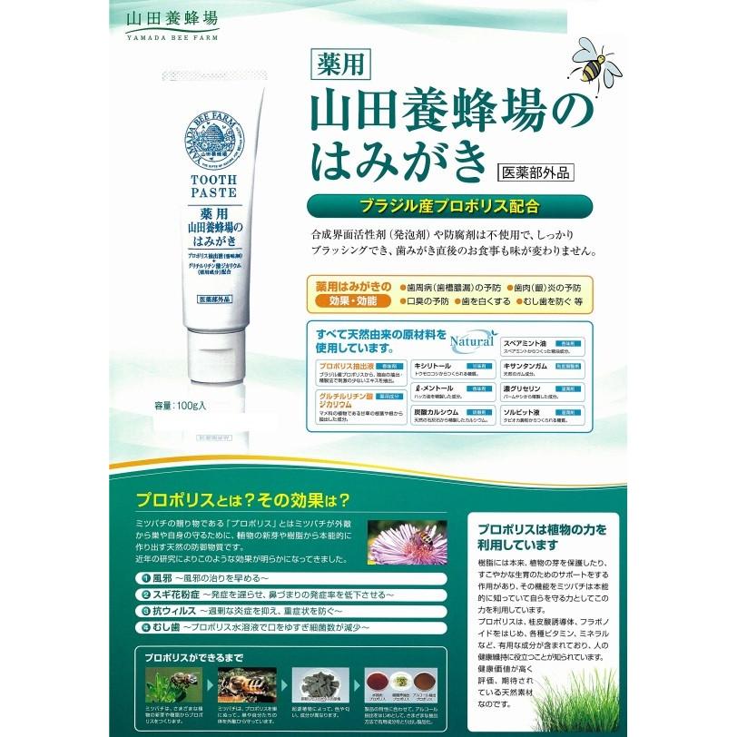 歯磨き粉 歯周病 薬用 歯槽膿漏 山田養蜂場歯みがき 100g 1本 プロポリス Ra プロマ歯科商店 通販 Yahoo ショッピング