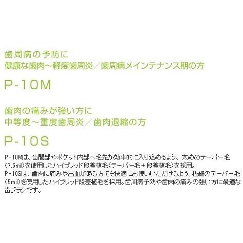 ◆送料無料(メール便)◆ＧＣルシェロ歯ブラシ　P-10　5本入　M/S｜proma｜02