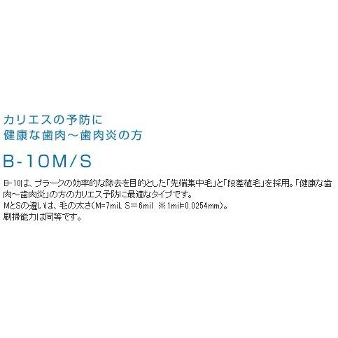 ◆送料無料(メール便)◆ＧＣルシェロ歯ブラシ　B-10　5本入　M/S｜proma｜02