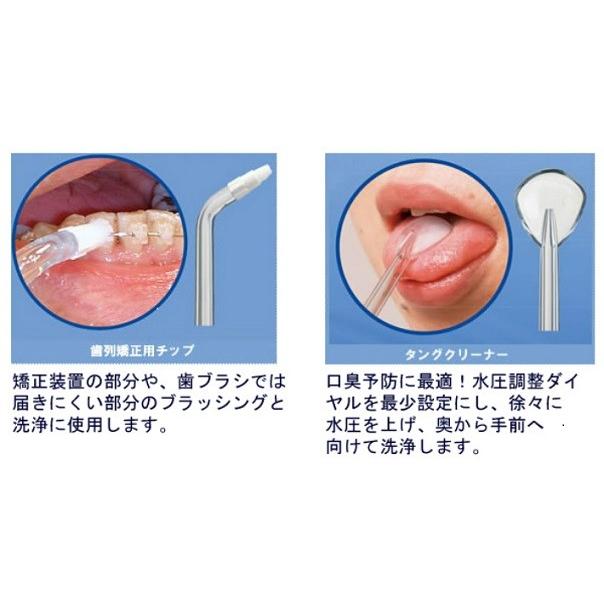 Waterpik（ウォーターピック） ウルトラ WP-120J デンタル 歯間