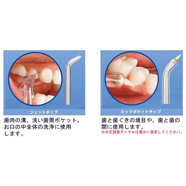 Waterpik（ウォーターピック） ウルトラ WP-120J デンタル 歯間