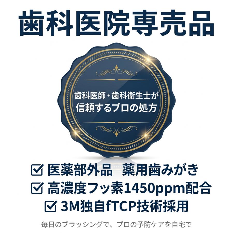 アンディ様専用宝珠双竜神天珠と四線虎牙天珠 ブレスレット 【公式通販】