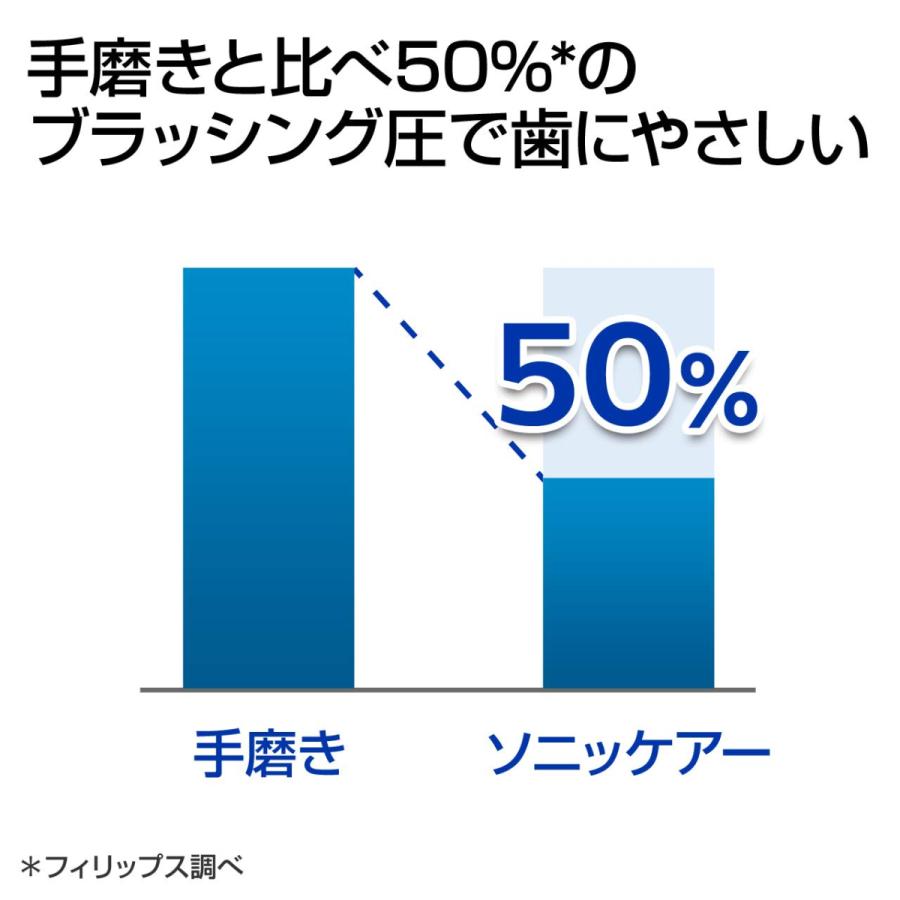 ダイヤモンドクリーン スマート 替ブラシ2本付(プロリザルツミニ ダイヤモンドクリーン スマート 替ブラシ2本付(プロリザルツミニ