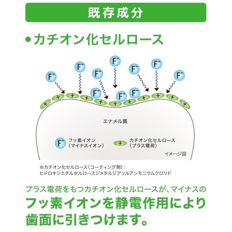 フッ素高滞留処方 ライオン DENTチェックアップ スタンダード135g 