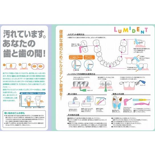 ◇クルツァーKULZER 【ルミデント歯間ブラシ5本入】1個 サイズ各種：XS