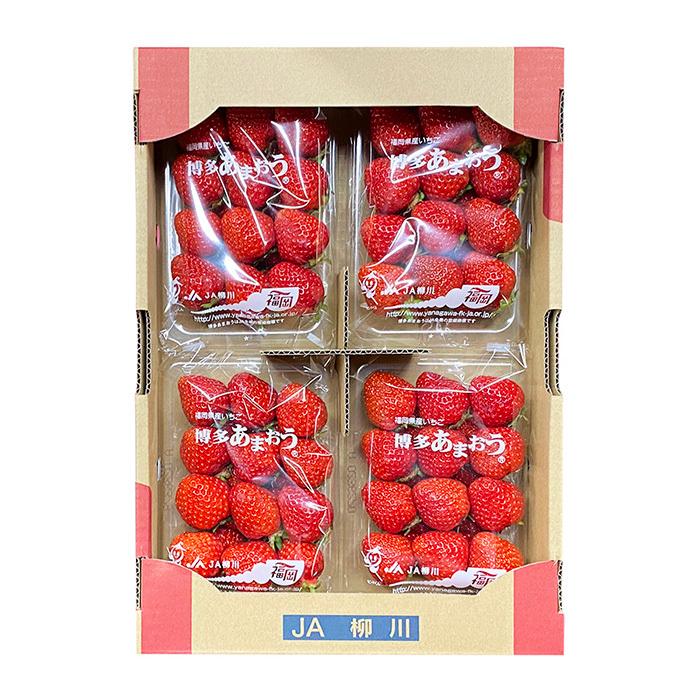 福岡県産 いちご あまおう 秀品 L〜2Lサイズ 4パック入り (箱 福岡県産 いちご あまおう 秀品 L〜2Lサイズ 4パック入り (箱