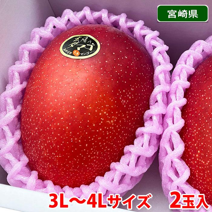 宮崎県産 完熟マンゴー 太陽のタマゴ 秀品 3L〜4Lサイズ 2玉入り