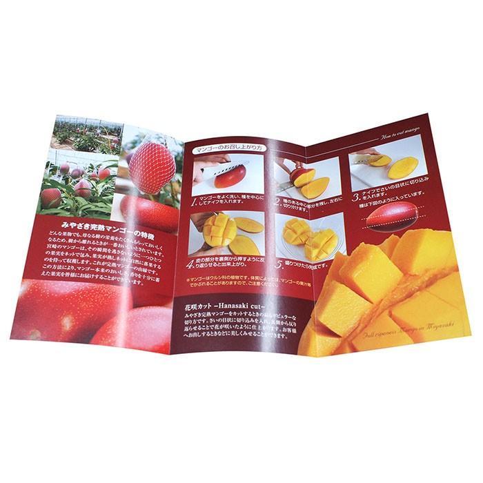 2964円 最大87 オフ 宮崎県産 完熟マンゴー 太陽のタマゴ 秀品 3l 4lサイズ 2玉入り 化粧箱