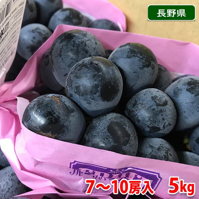 長野県産 ナガノパープル 秀品 7〜10房入り （箱） 国産 ぶどう