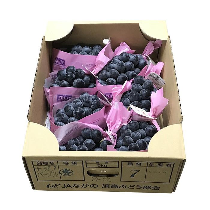 長野県産 ナガノパープル 秀品 7〜10房入り （箱） 国産 ぶどう : 生鮮