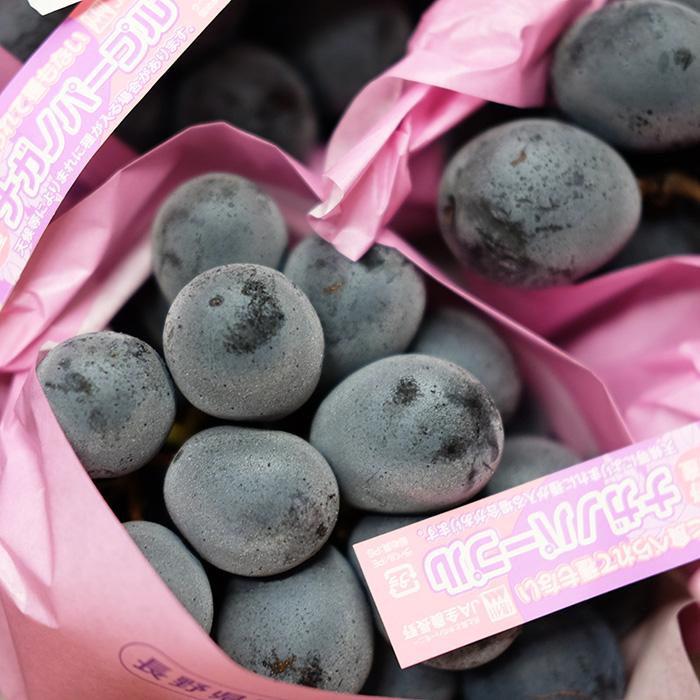 長野県産 ナガノパープル 秀品 7〜10房入り （箱） 国産 ぶどう : 生鮮