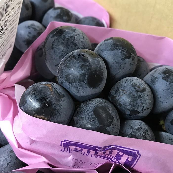 長野県産 ナガノパープル 秀品 7〜10房入り （箱） 国産 ぶどう : 生鮮