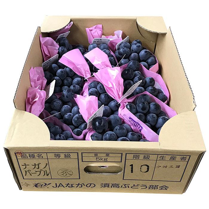 長野県産 ナガノパープル 秀品 7〜10房入り （箱） 国産 ぶどう
