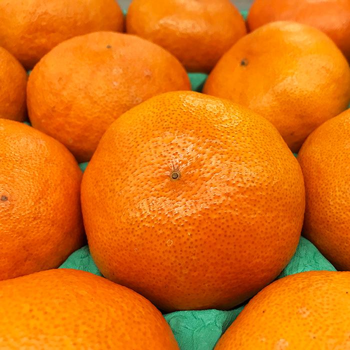 愛媛県産 せとか 秀品 3L〜4Lサイズ 8〜10玉入 3kg （化粧箱） 国産