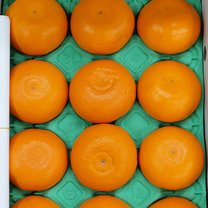 トオル　秀品セトカ　Lサイズ 箱込み10kg せとか 10kg」の人気商品一覧 | 安い商品を通販サイトから探す - 価格.com