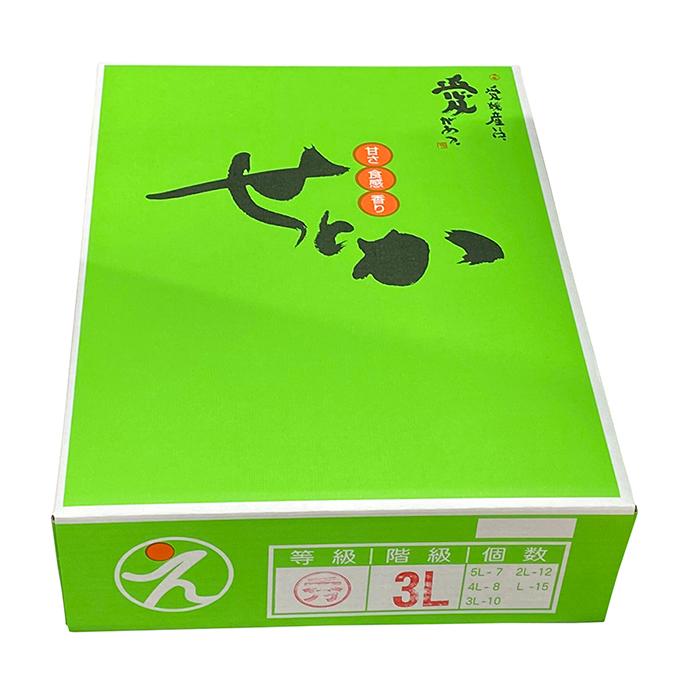 トオル　秀品セトカ　Lサイズ 箱込み10kg 鹿児島県産 せとか 秀品 3L〜5Lサイズ 5kg （箱） 国産 みかん ギフト