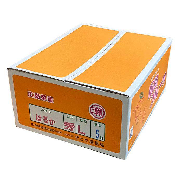 広島県産 はるか 秀品 Lサイズ 5kg （箱） 国産 みかん 柑橘 : 生鮮