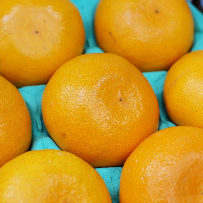 愛媛県産 甘平（かんぺい）秀品 3L〜4Lサイズ（8〜10玉）約3kg（化粧箱