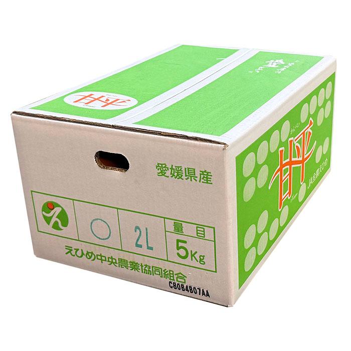 甘平　2L 箱込み10Kg　愛媛県松山市産 甘平 2L 箱込み10Kg 愛媛県松山市産 【公式通販】