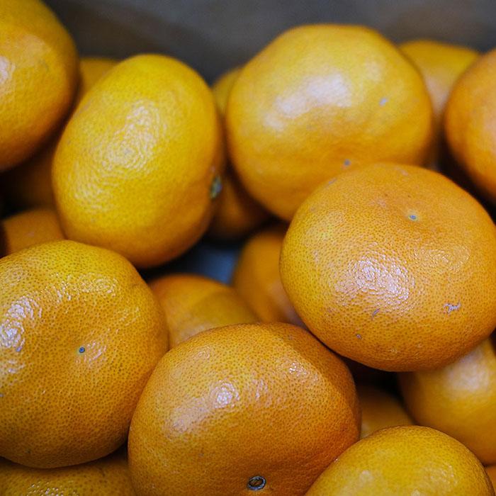 愛媛県産 甘平 （かんぺい） みかん ご家庭用 （丸版） L〜2Lサイズ