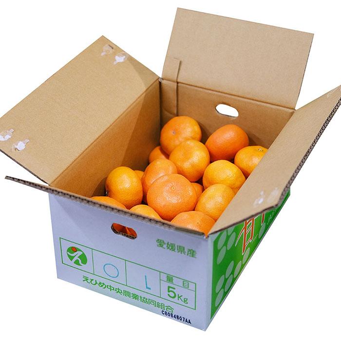 愛媛県産 甘平 （かんぺい） みかん ご家庭用 （丸版） L〜2Lサイズ