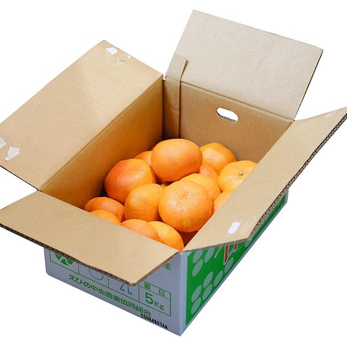 愛媛県産 甘平 （かんぺい） みかん ご家庭用 （丸版） L〜2Lサイズ