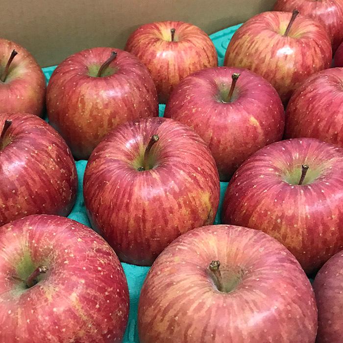 美味しい‼️美品‼️青森県産　サンふじ　10キロ 40玉 青森県産 サンふじりんご 秀品 36〜40玉入り 10kg : 生鮮卸売市場