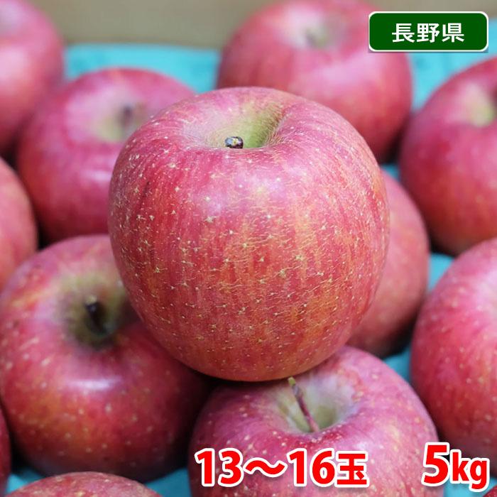 長野県産 サンふじ りんご 特秀 13〜16玉 約5kg （箱） 国産 フルーツ