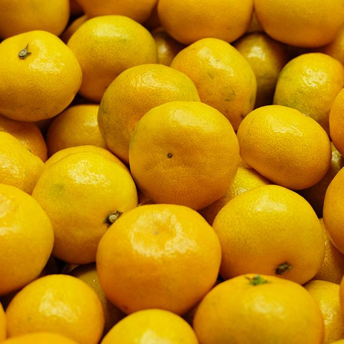 和歌山県産 有田みかん 秀品 2S〜Sサイズ 10kg(箱) : 生鮮卸売 和歌山県産 有田みかん 秀品 2S〜Sサイズ 10kg(箱) : 生鮮卸売