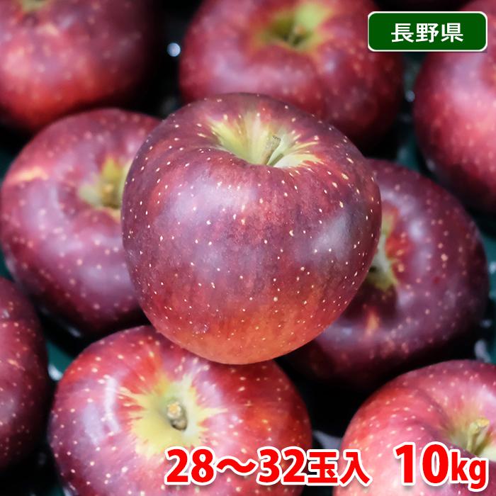 【京子】長野県産　秋映りんご　10キロ箱　送料込み りんご 10kg 秋映 長野産 ご家庭用 送料無料 食品 : 花と緑 国華園