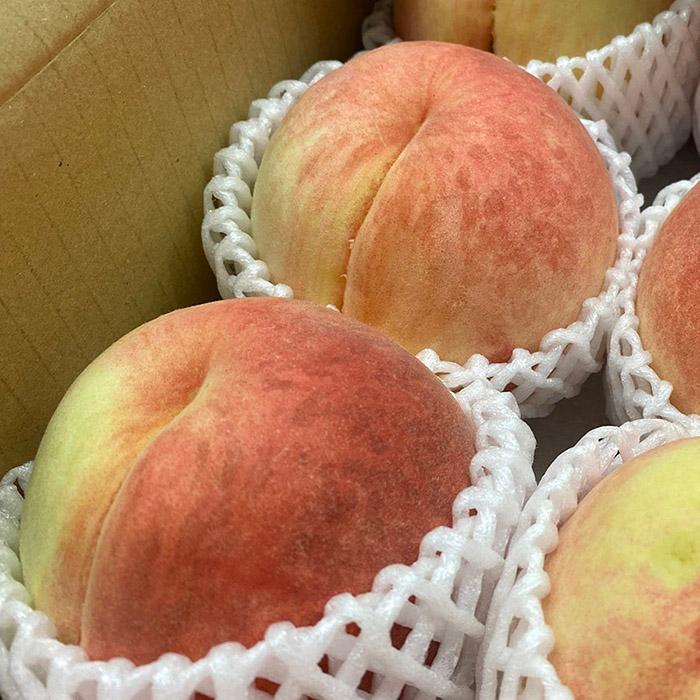 山梨県産 桃 ぴー一番 秀品 15〜16玉入 （箱） : 生鮮卸売市場 - 通販