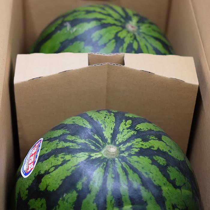 鳥取県産 すいか 大栄西瓜 秀品 3Lサイズ 2玉入り （約8〜9kg×2玉） 箱