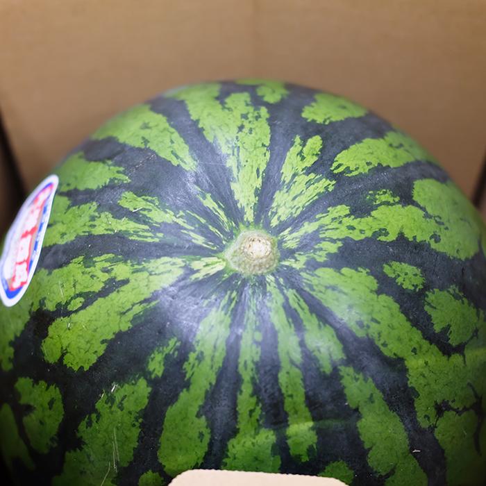 鳥取県産 すいか 大栄西瓜 秀品 3Lサイズ 2玉入り （約8〜9kg×2玉） 箱