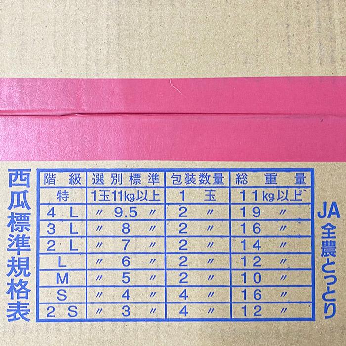 鳥取県産 すいか 大栄西瓜 秀品 3Lサイズ 2玉入り （約8〜9kg×2玉） 箱