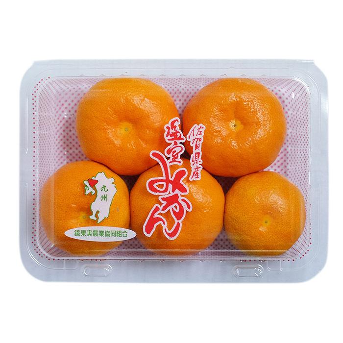 佐賀県産 ハウスみかん （温室みかん） 4〜5玉入り （パック） : 生鮮
