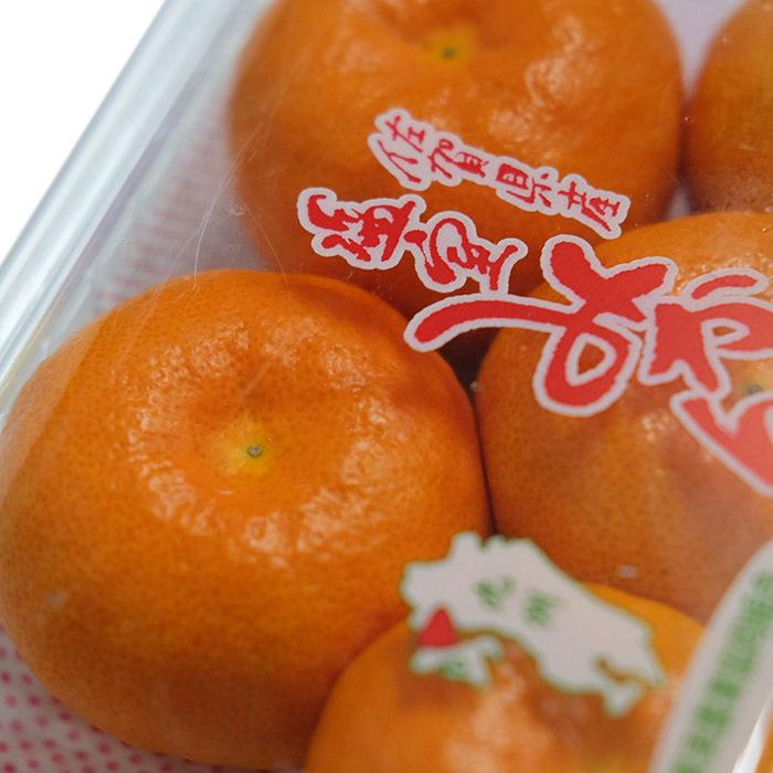 佐賀県産 ハウスみかん （温室みかん） 4〜5玉入り （パック） : 生鮮
