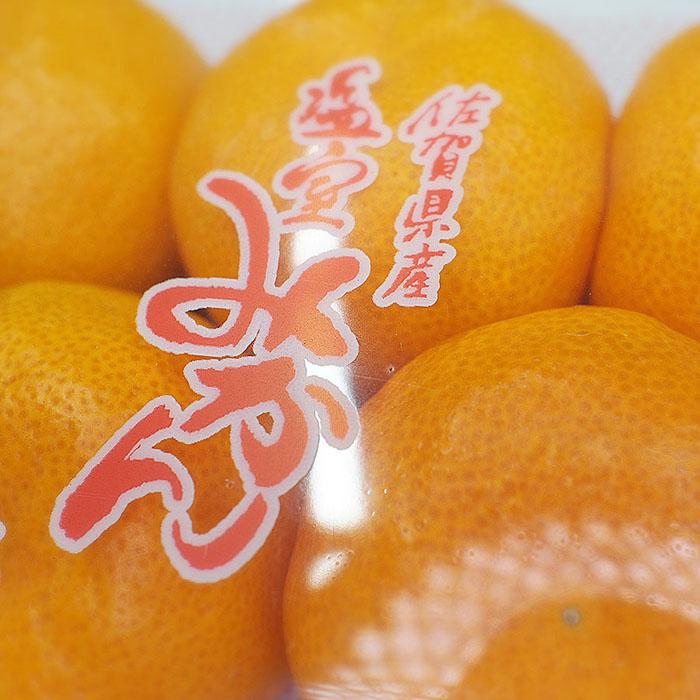 佐賀県産 ハウスみかん (温室みかん) 4〜5玉入り (パック 佐賀県産 ハウスみかん (温室みかん) 4〜5玉入り (パック