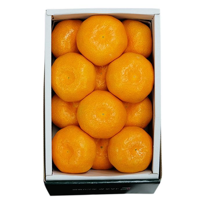 佐賀県産 ハウスみかん 秀品 11〜13玉入り 約1.0kg以上（化粧箱