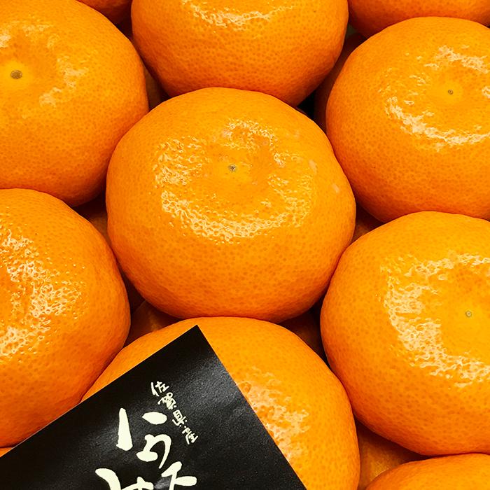 佐賀県産 ハウスみかん 秀品 11〜13玉入り 約1.0kg以上（化粧箱
