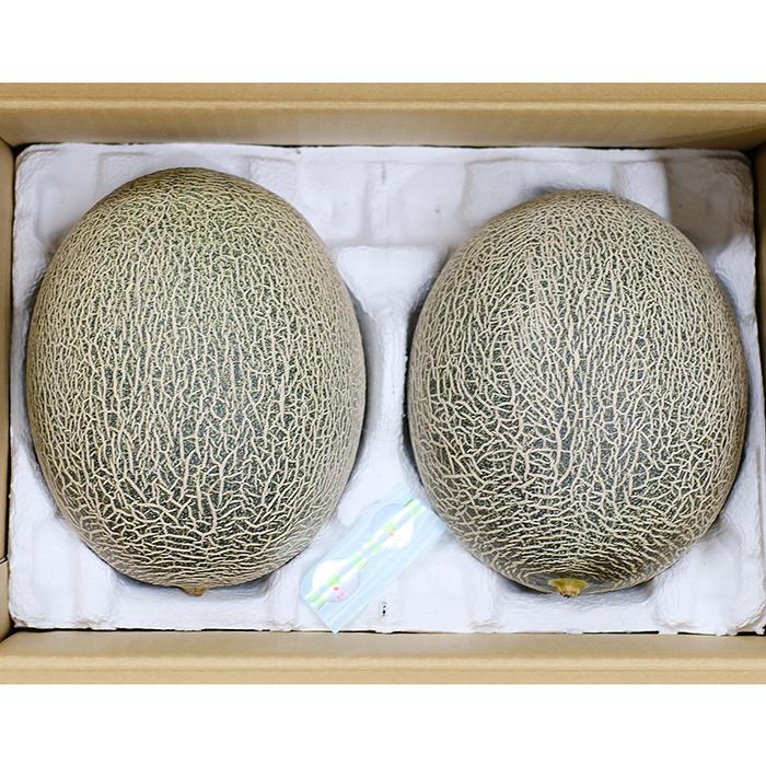 熊本県産 肥後グリーン メロン 秀品 5L〜8Lサイズ 2玉入り （箱