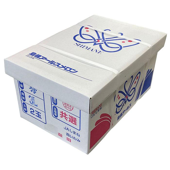 島根県産 アールスメロン 秀品 2Lサイズ 2玉入 (箱) 国産 メロン