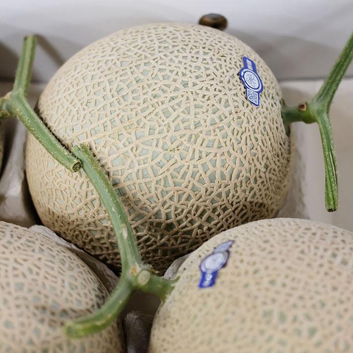 島根県産 アールスメロン 秀品 3L〜4Lサイズ 3〜4玉入 (箱) 国産