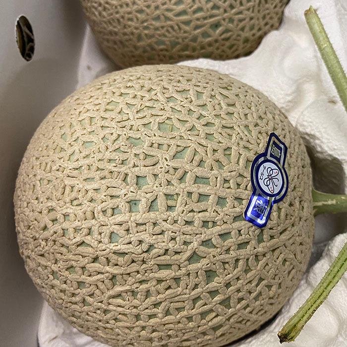 島根県産 アールスメロン 秀品 LA〜2Lサイズ 5〜6玉入 (箱) 国産