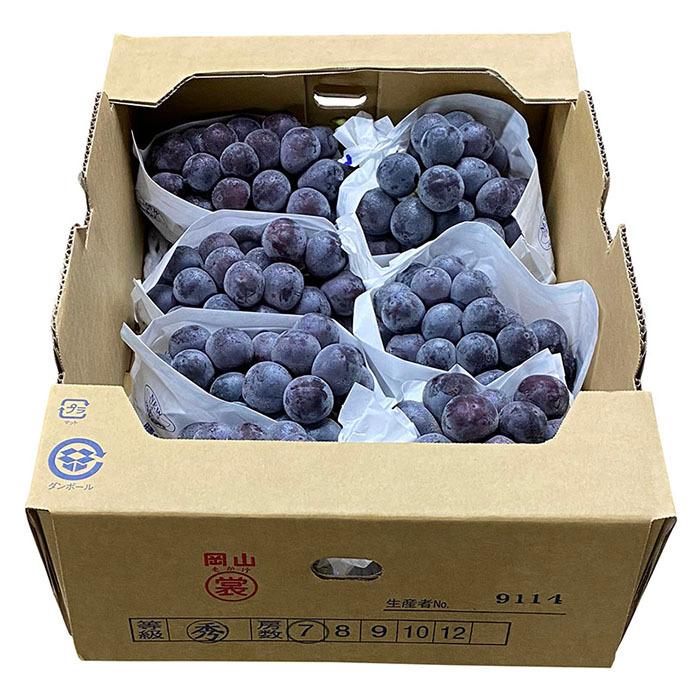 岡山県産 ニューピオーネ 秀品（6房〜9房入り） 5kg 国産 種無し