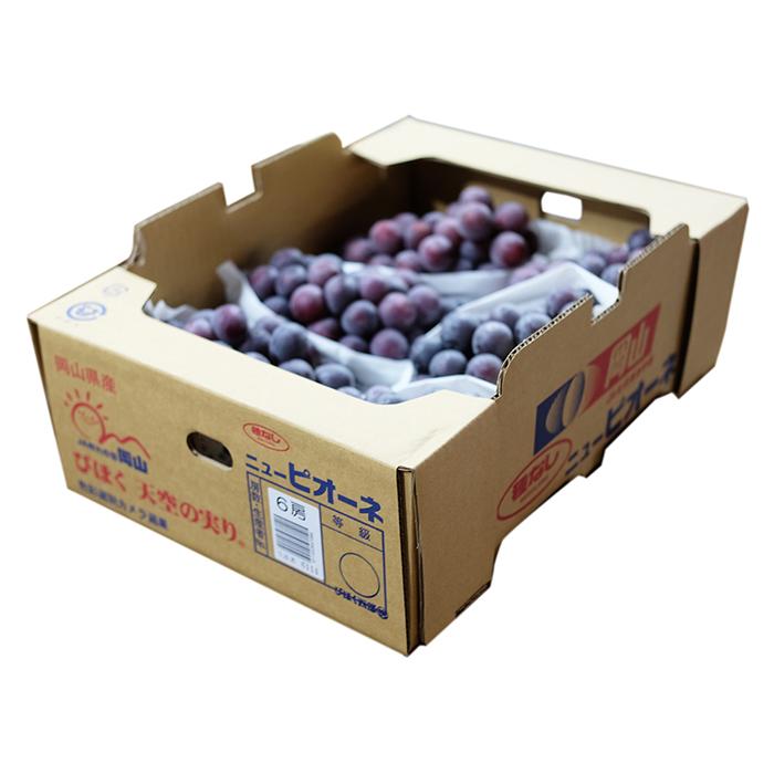 岡山県産 ニューピオーネ 秀品（6房〜9房入り） 5kg 国産 種無し