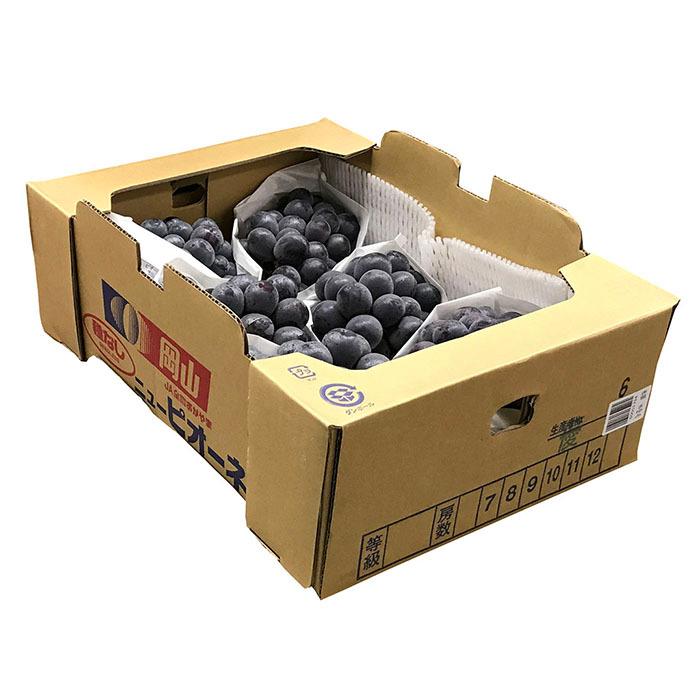 岡山県産 ニューピオーネ 秀品（6房〜9房入り） 5kg 国産 種無し