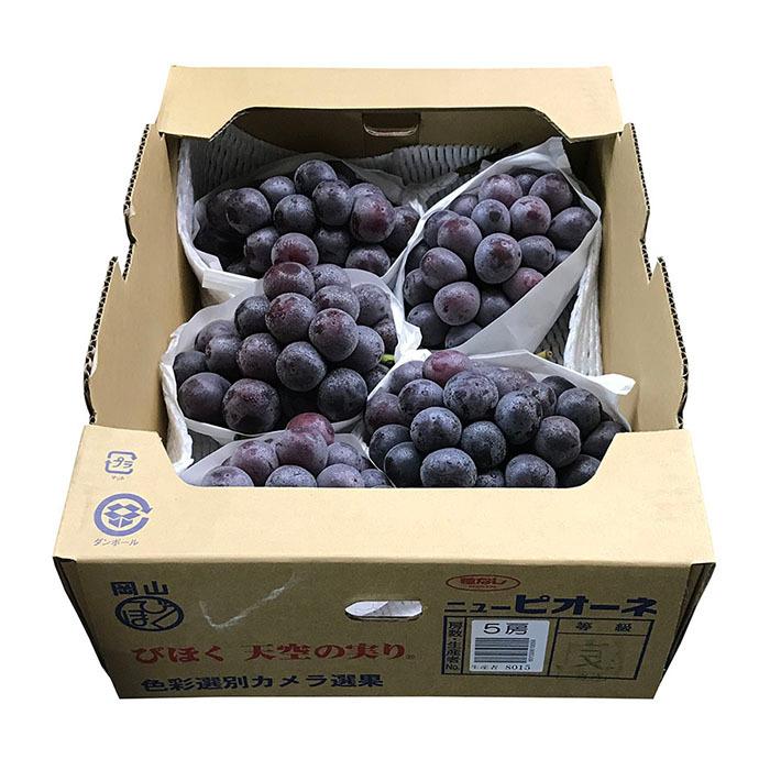 岡山県産 ニューピオーネ 秀品（6房〜9房入り） 5kg 国産 種無し