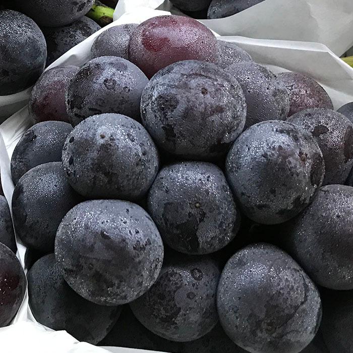 食品 岡山 高級 ピオーネ 約5kg 8-10房 種なし 黒ぶどう 葡萄
