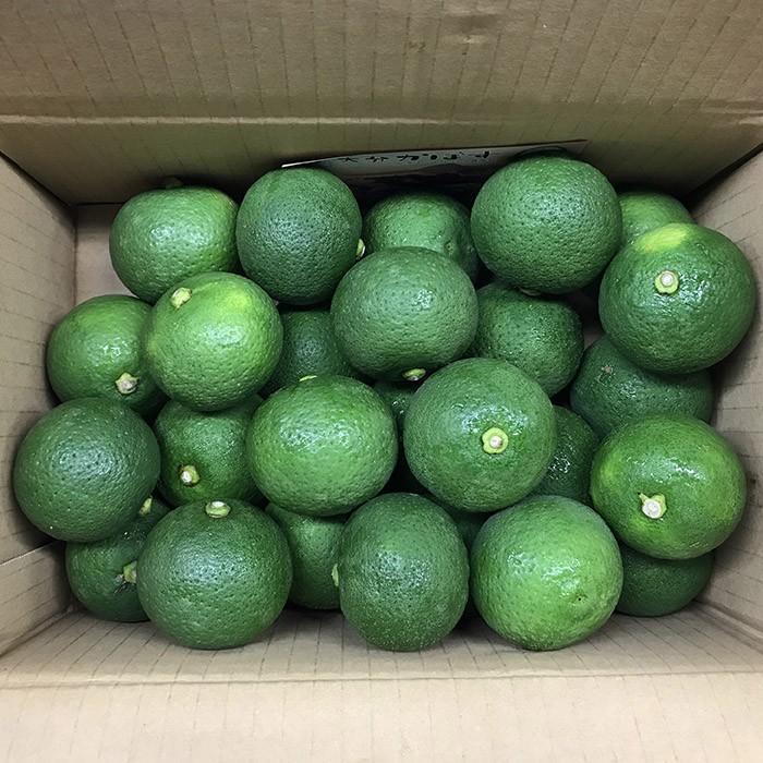 大分県産 かぼす 秀品 M〜Lサイズ 2kg（箱） : 生鮮卸売市場 - 通販