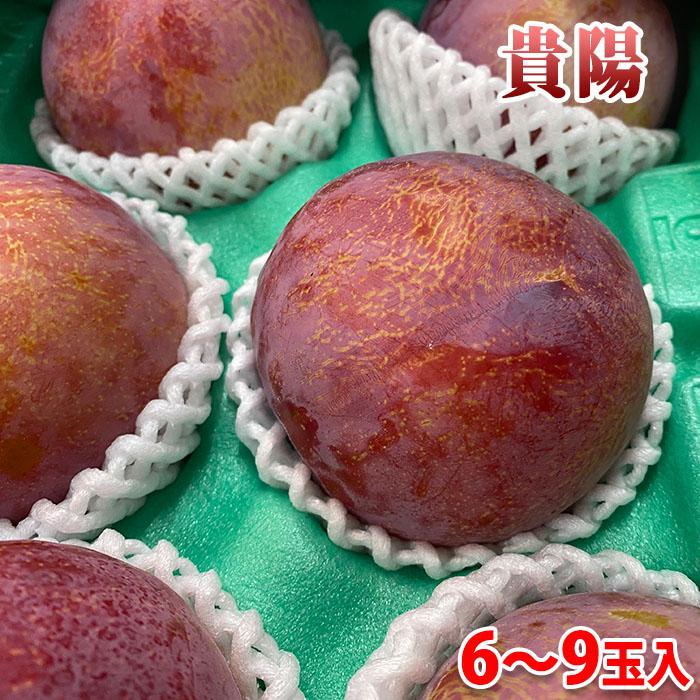 長野産　貴陽プラム 小玉 箱込み3.3キロ 長野県産 プラム 貴陽 秀品 6〜9玉入り 約1.5kg （箱） : 生鮮卸売市場